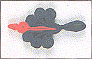 F715.gif (10016 ֽ)